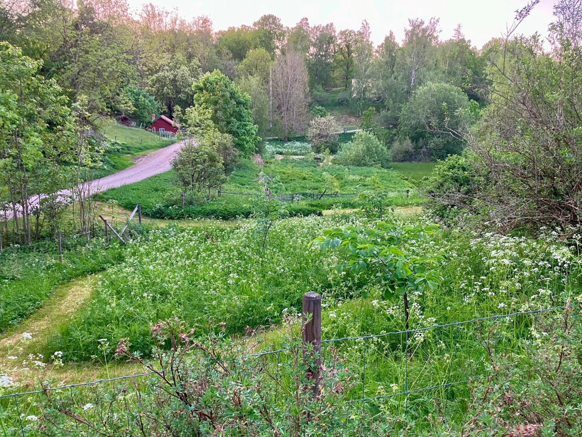 Lidhem Herrgard. Bed & Breakfast Och Mindre Laegenheter Vimmerby Extérieur photo